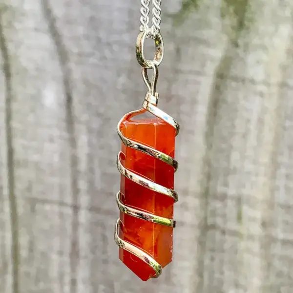 Carnelian Spiral Necklace